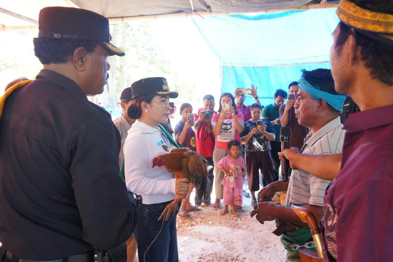 Bupati SBD Serahkan Bantuan 100 Ekor Ayam Petelur Kepada Kelompok Tani Maida Ole